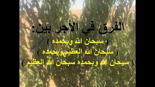 من قال سبحان الله وبحمده 100 مرة  صالح المغامسي [upl. by Reina438]