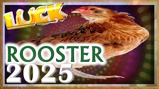 Rooster Horoscope 2025  Luck  Born 2017 2005 1993 1981 1969 1957 1945 1933 [upl. by Berrie]