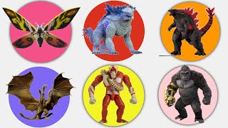 Godzilla Evolved Shimo King Kong Skar King Mothra Ghidorah  Spin Wheel Game [upl. by Notfol]