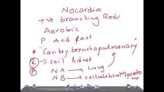 Medical Video Lecture NOCARDIA Microbiology [upl. by Hashimoto]