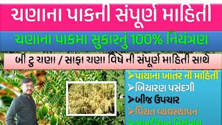 ચણાના પાક ની સંપૂર્ણ માહીતી gram chana na pakni mahiti [upl. by Koetke]