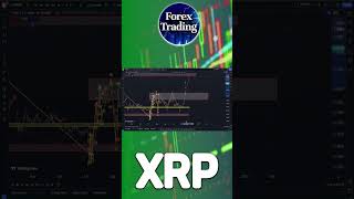 XRP Bull Run Started [upl. by Ahsym]