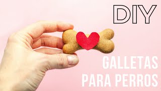 Galletas Para Perros DIY [upl. by Llednyl754]