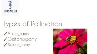 Types of Pollination in detail  Shivam Oswal [upl. by Lunna]