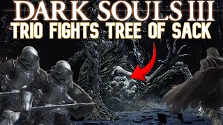 Trio Proceeds To End The CurseRotted Greatwoods Existence  Dark Souls 3 [upl. by Narcissus545]