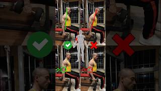 quotAvoid These Seated Hammer Curls Mistakes for Maximum Gainsquot [upl. by Ahseral188]