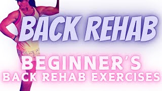 Beginners Guide to Back Rehab Effective Exercises for Pain Relief [upl. by Tiat]