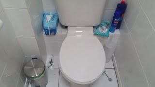 Homebase Toilet Seats  Top Fixing Toilet Seat Homebase [upl. by Nahgaem]