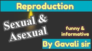 Sexual and Asexual Reproduction  Science  By  Gavali sir  MG Science Simplified [upl. by Ahsieyn]