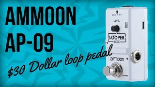 Ammoon AP09 Demo The Cheapest Loop Pedal Ever [upl. by Stephens313]