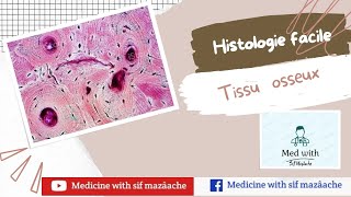 5 Le Tissu osseux  Histologie 1ère année MED [upl. by Annaitsirhc531]