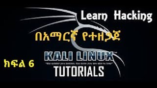 Basics of Kali Linux Terminal Commands  Part 3 Amharic [upl. by Fonsie]