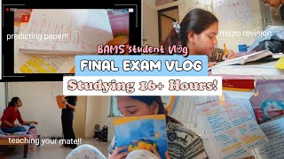 Ultimate Study Marathon 16 Hours of Intense Exam PreparationEXam talesKRIYA SHÃRIR exam [upl. by Ennovehc]