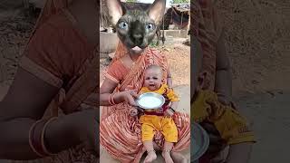 लल्ला लल्ला लोरी 🍚 🍚🍚🍚हमारा🍚 गीत🍼 [upl. by Ehcropal475]