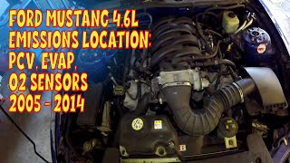 Mustang Emissions Locations and Info PCV Valve Oxygen Sensors and EVAP Purge amp Vent [upl. by Nerradal]