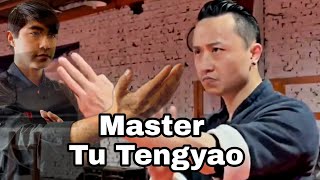 Master Tu Tengyao wing chun techniques analysis from Qodir17 [upl. by Nnywg101]