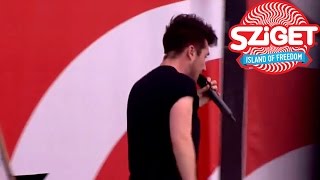 Bastille Live  Of The Night  Sziget 2014 [upl. by Ebonee810]