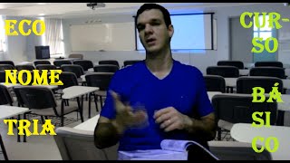 CURSO DE ECONOMETRIA AMOSTRAGEM ESTATÍSTICA [upl. by Doug253]