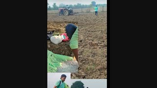 anndata Kisan किसान खेत में सरसों कैसे उगता है [upl. by Nirot]