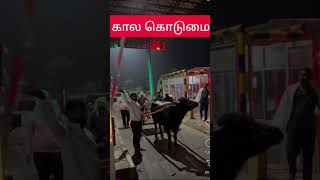 மாட்டு வண்டிக்கு toll gate வரி கட்டனும  Toll Gate  கால கொடுமை  Toll Parithabangal  bjp modiji [upl. by Eneles]