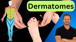 LOWER LIMB DERMATOMES  Neurological Test [upl. by Ram]