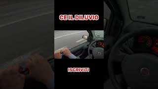 FIAT PANDA ROTTA  COSA DEVO FARE [upl. by Seldan]