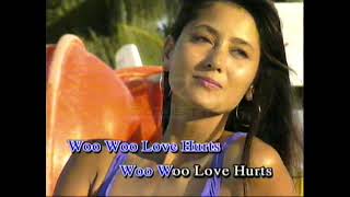 Love Hurts karaoke  Nazareth [upl. by Liew]