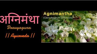 Agnimantha  Dravyaguna  BAMS [upl. by Philcox]