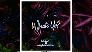 LIZOT amp waybackwhen  Whats Up Official Audio [upl. by Aillicsirp]