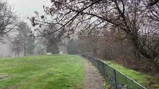 Walk Along the Klamath River Yreka California [upl. by Inaffets]