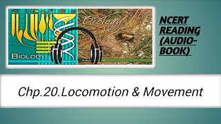 Locomotion amp movement NCERT reading  NCERT class 11th biology AUDIOBOOKNCERT audio NCERT reading [upl. by Anibur940]