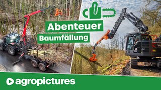 Baumfällung extrem mit Westtech Woodcracker am Hoflader Rückewagen Bagger und Teleskoplader [upl. by Nerdna500]