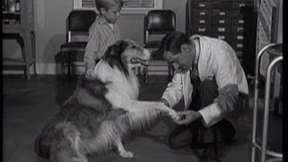 Lassie  Episode 125  quotInoculationquot  Season 4 22 2021958 [upl. by Niobe]