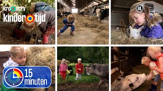 Koeien lammetjes varkens kippen kalfjes en paarden  15 minuten  Kindertijd KRONCRV [upl. by Esila]