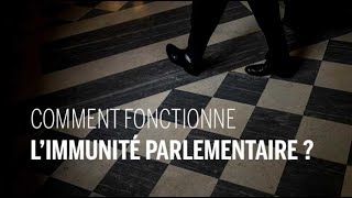 Comment fonctionne limmunité parlementaire [upl. by Natika673]