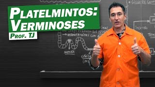 Biologia  Verminoses de Platelmintos [upl. by Ahsimit]