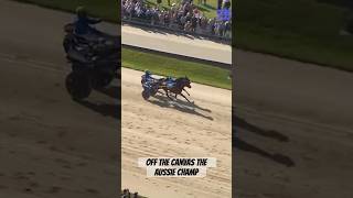 VERY GUTSY WIN FROM THE AUSSIE sporthorses horsesport horserace automobile [upl. by Posehn]