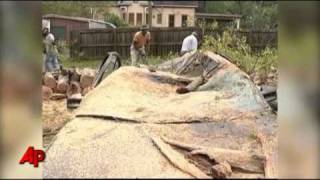 110 Mph Winds Damage Homes in Mississippi [upl. by Ecirtaemed943]