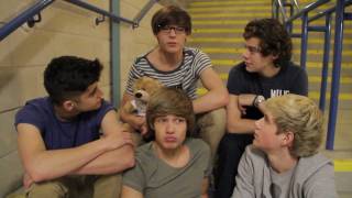 One Direction QampA Part 2 [upl. by Glynias209]