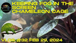 Keeping Fog in the Screen Chameleon Cage [upl. by Si]