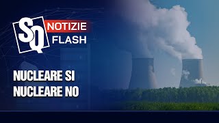 NUCLEARE SI NUCLEARE NO  Notizie Flash del 25112024 [upl. by Hummel341]