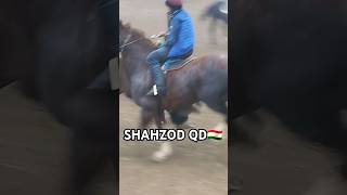 Бузкаши 21 11 2024 Н Спитамен АБДУАХАД Н ШАХРИСТОН top horse stallion reels rek horsea sports [upl. by Asare]