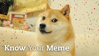 Our Favorite Doge Just Turned 16 Years Old  Know Your Meme [upl. by Rexana]