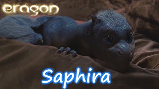 Eragon  Saphira la Dragona 111 quotLatinoquot [upl. by Lorola]