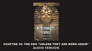 Chapter 36 The Ego  Blackroots Science Vol 1 [upl. by Aritak784]