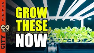 7 Easy Vegetables to Grow Indoors [upl. by Weinrich174]