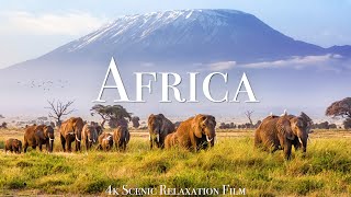 Africa 4K  Scenic Relaxation Film With African Music [upl. by Lurette]