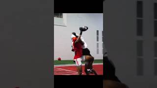 😱Jeremiah Smith CRAZY 1 Handed Catch [upl. by Malim]