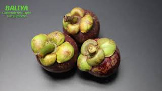 Carbendazim Test  Detection of Carbendazim in Mangosteen  BALLYA [upl. by Aitnas]