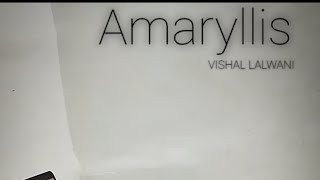 Amaryllis  Original Piano Composition [upl. by Aurelio]